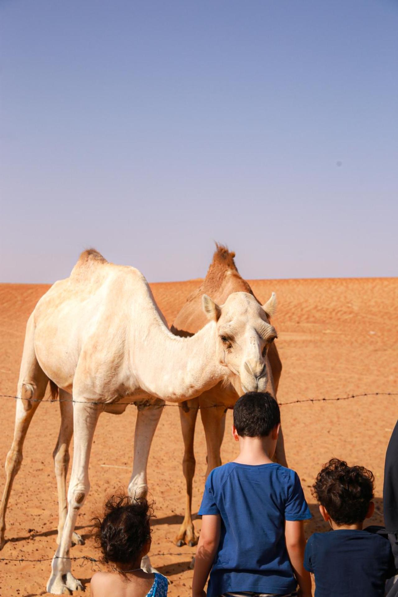 Wahiba Bedouin Rustic Camp Hotel Bidiya Exterior foto